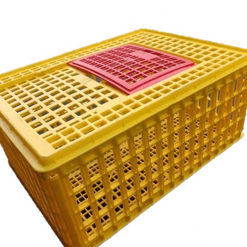 Hot Sale The Cheapest Animal Cages Pure Plastic Live Birds Chicken Transport Crates For Poultry Farm