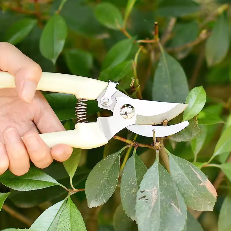New Product Cheap Garden Tools Thickened Garden Shears Garden Pruning Scissors Potted Pruning Shears