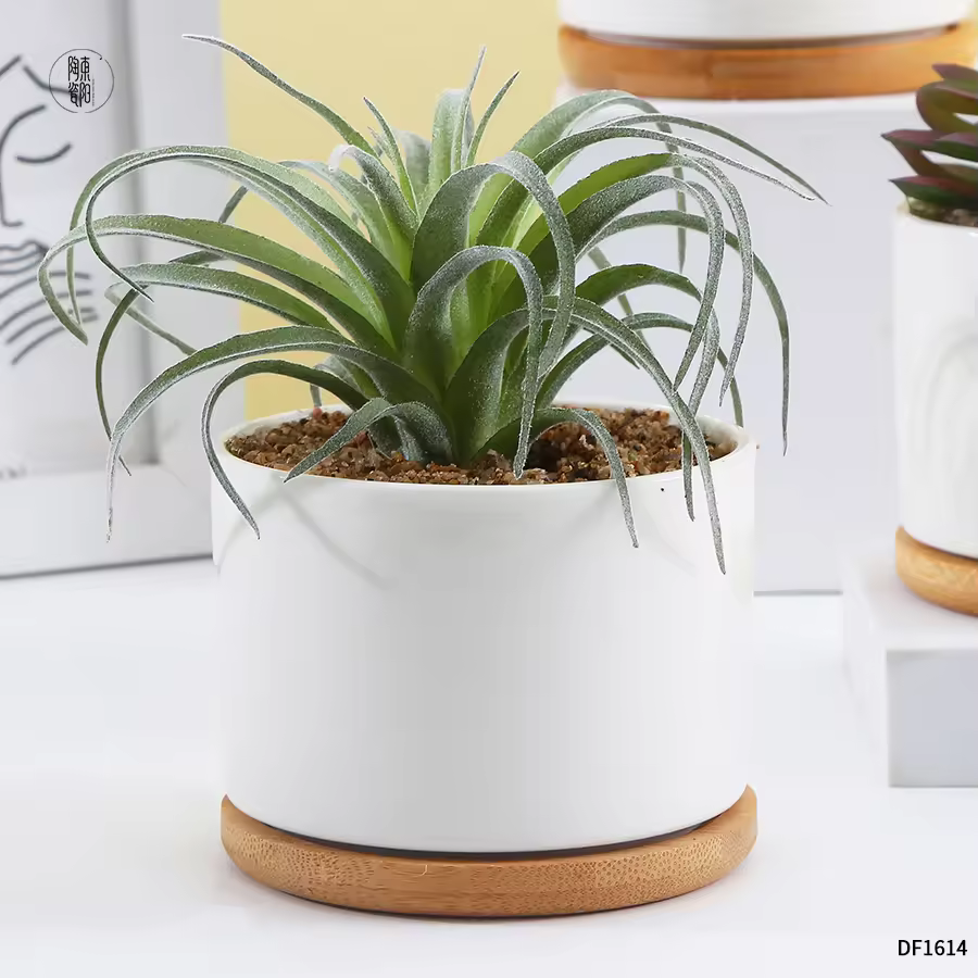 Modern Minimalist Eco-friendly White Ceramic Galvanized Finish Succulent Pot Customizable Logo/pattern Luxury Indoor Home