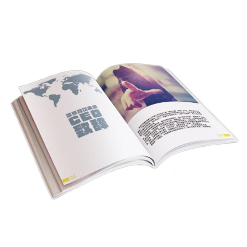 Direct Sales Magazine Instruction Leaflet Flyer Poster Brochure Folding Catalogue Brochure
