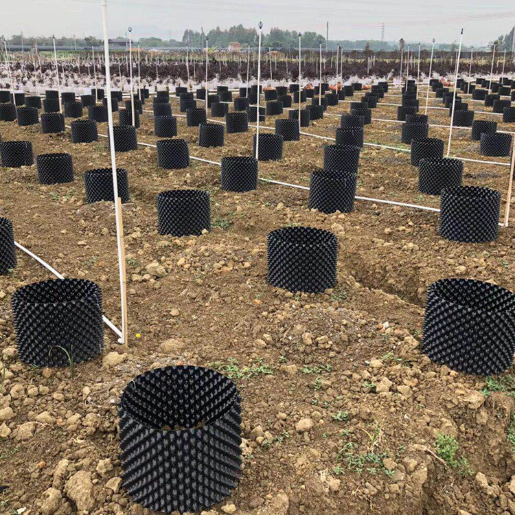 Greenhouse Plastic Root Control Pots Fast Growing PVC/PE Air Pruning Container with High Quality Base