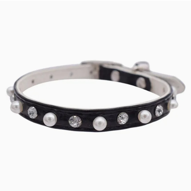 Premium Cat Collar and Leash Set for Trendy Pets