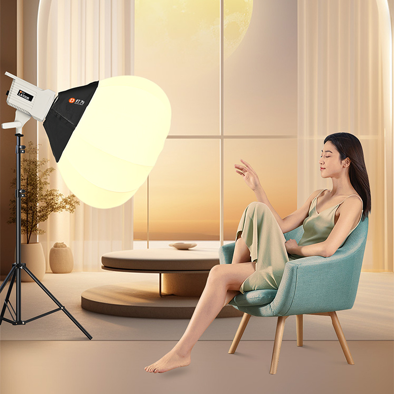 Dw La100d 100-220V 100W APP Remote Control Dimmable LED Video Photographic Lighting Video Light