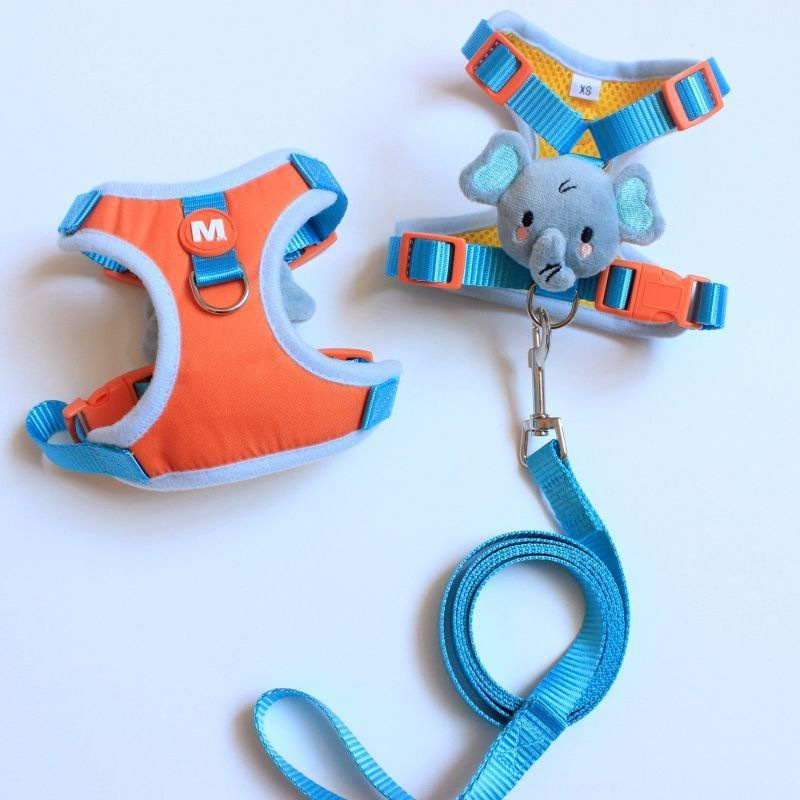 Wholesale Pet Supplies Dog Harness and Pet Harness Leash Set for Cats and Small Dogs High Durability Amazon Best Seller Dog Harness