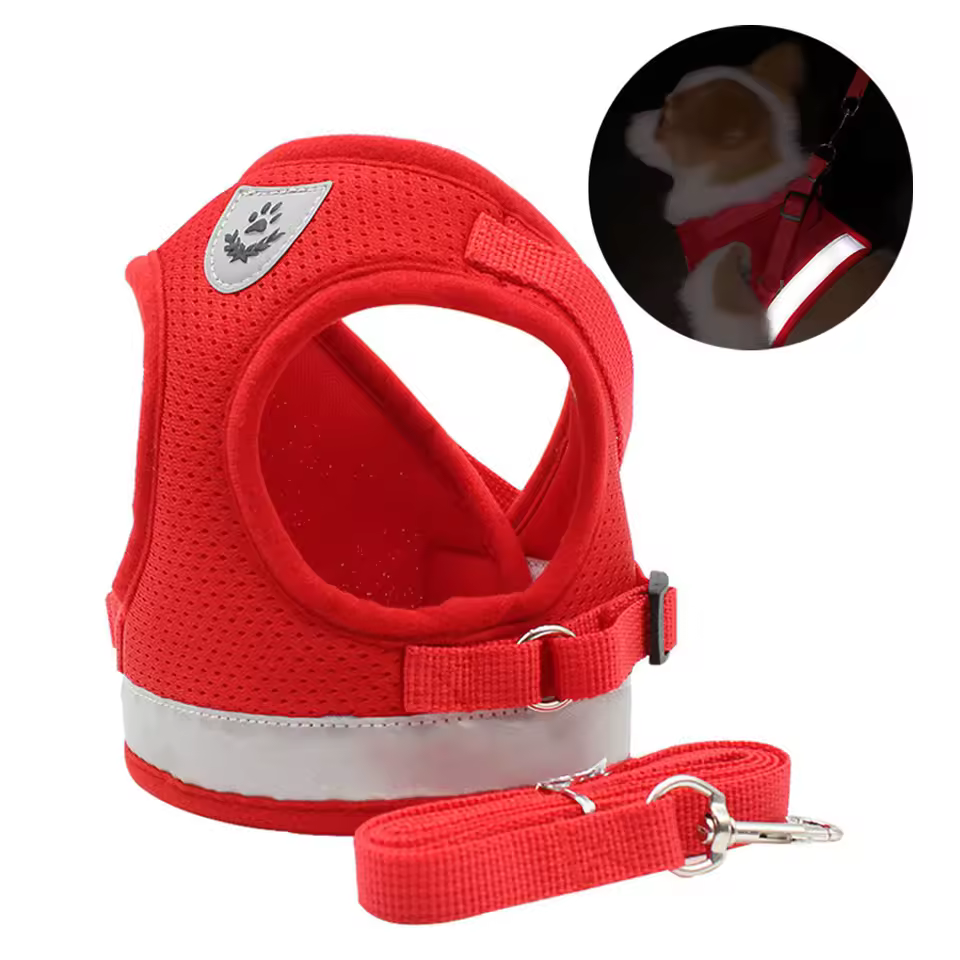 Cats Dogs Harness With Free Leash