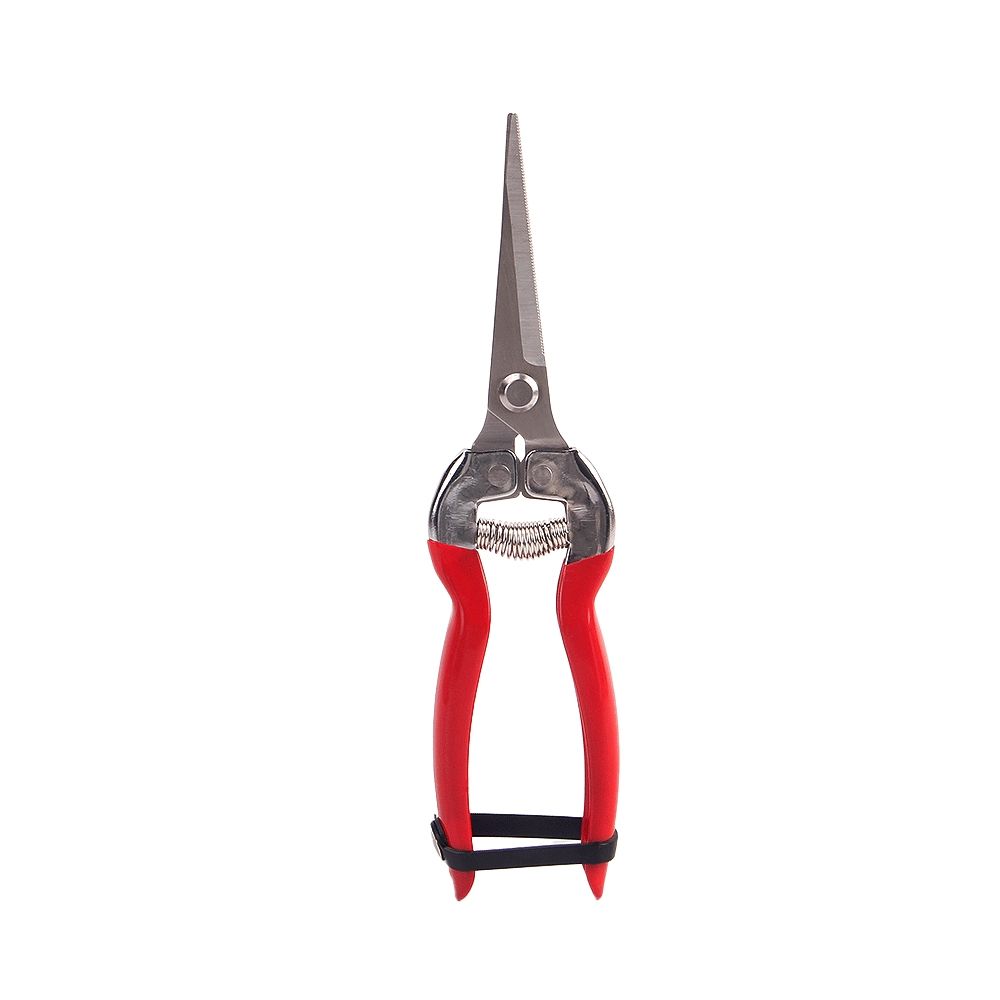 Scissors with Rust-Resistant Stainless Steel Construction