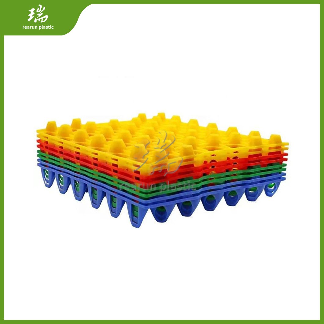 Rearun Plastic Quail Egg Tray China Distributor Low Price Plastic Egg Crate Tray