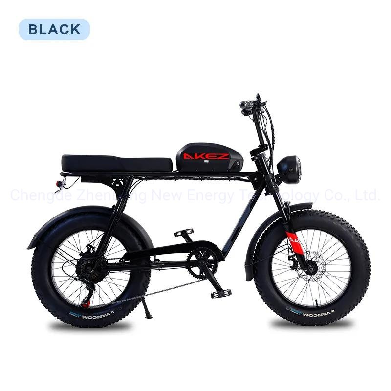 2024 China New 48V13ah 20-Inch Snow Tires Cheap Ebikes Bicycle Motorbike Electric Dirt Bike for Adults