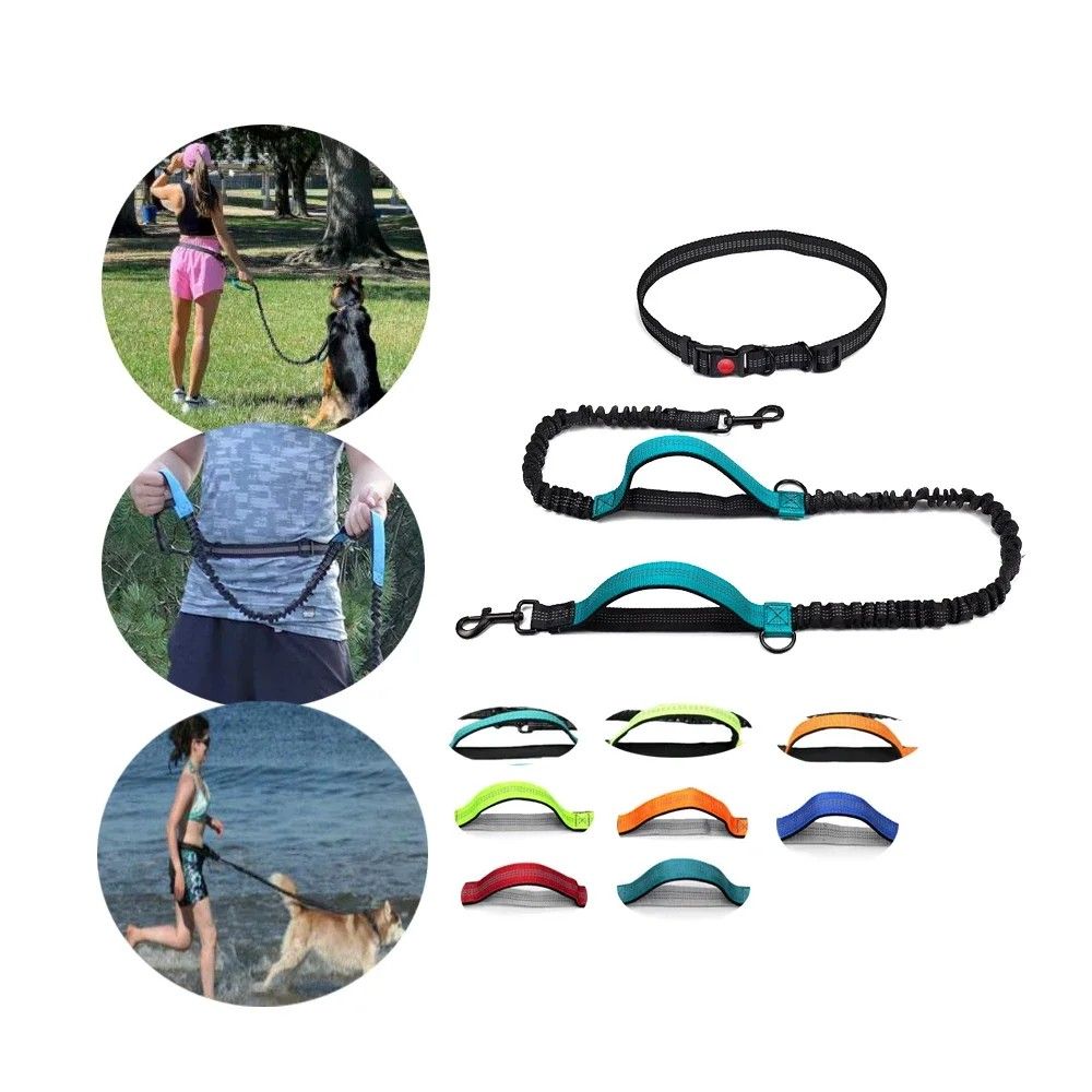 Pet Leash Supplies Hands Free Dog Leash Collar Harness Reflective High Bungee Dog Leashes Two Handle Control Pets Dog Leash for Dogs Walking Running