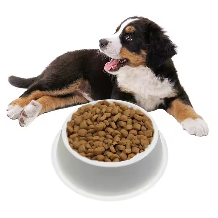 Disposable One Time Eco Sugarcane Bagasse Food Bowl Biodegradable Eco Friendly Pulp Pet Cat Dog Food Bowl