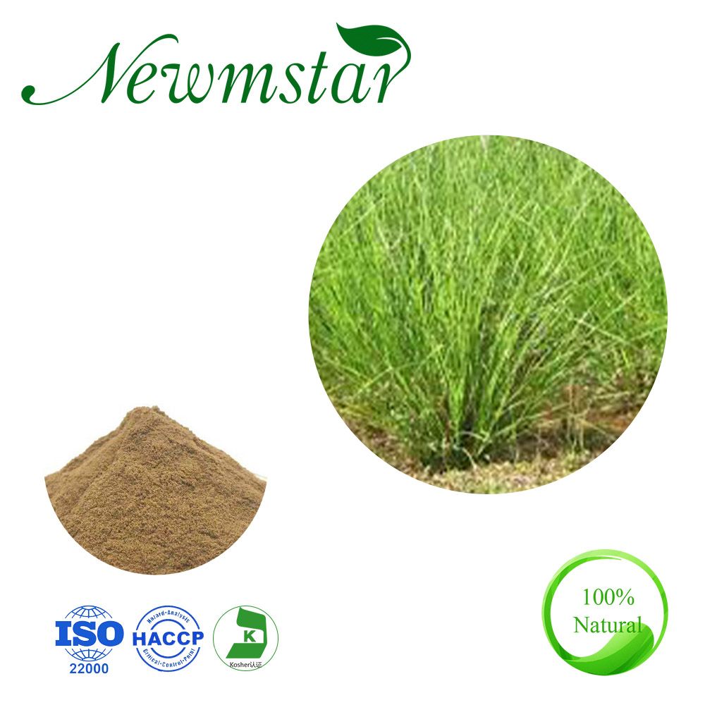 Hot Sale Natural Plant Extract Chrysopogon Zizanioides 10: 1 Vetiveria Zizanoides Extract