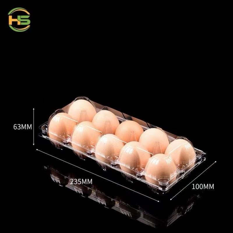 Wholesale Eco-friendly Transparent Pet Plastic Egg Tray 10z Convenient Recyclable Egg Container Packaging Box