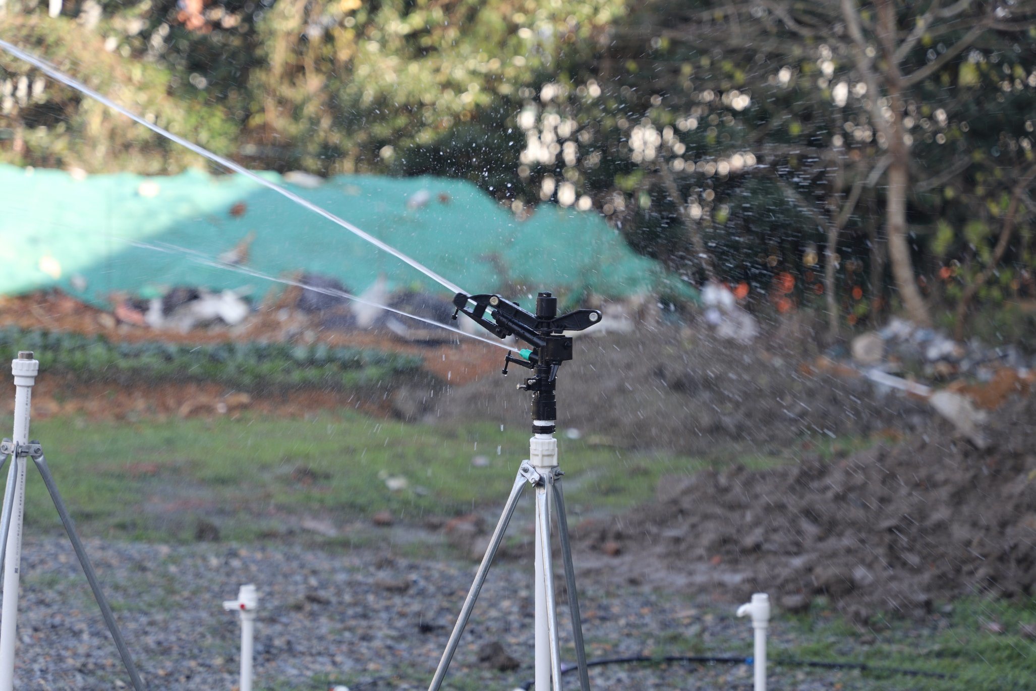 High Quality Micro Jet Sprinkler for Lawn Garden Irrigation Female