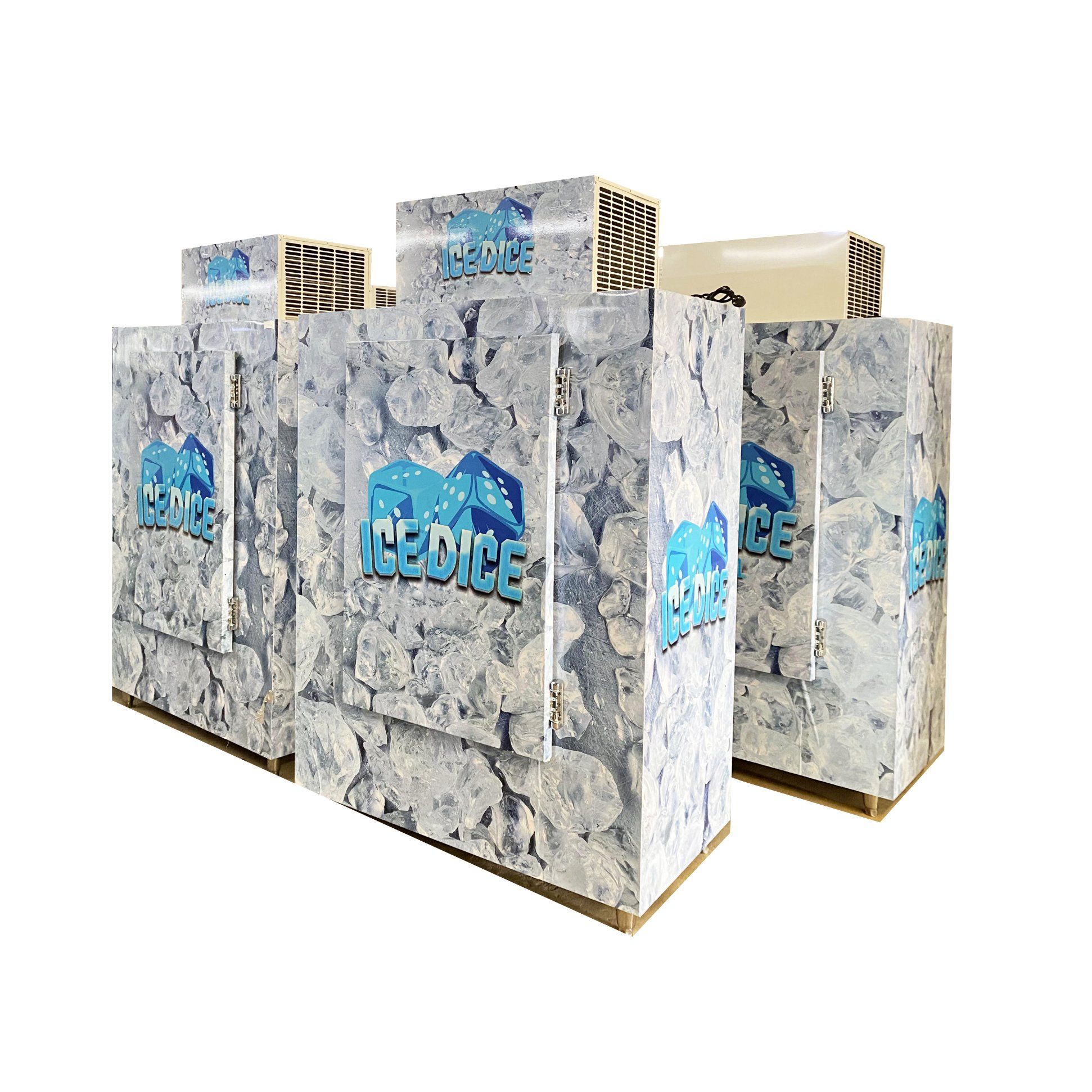 Outdoor Merchandiser Ice Freezer Bagged Ice Storage Box