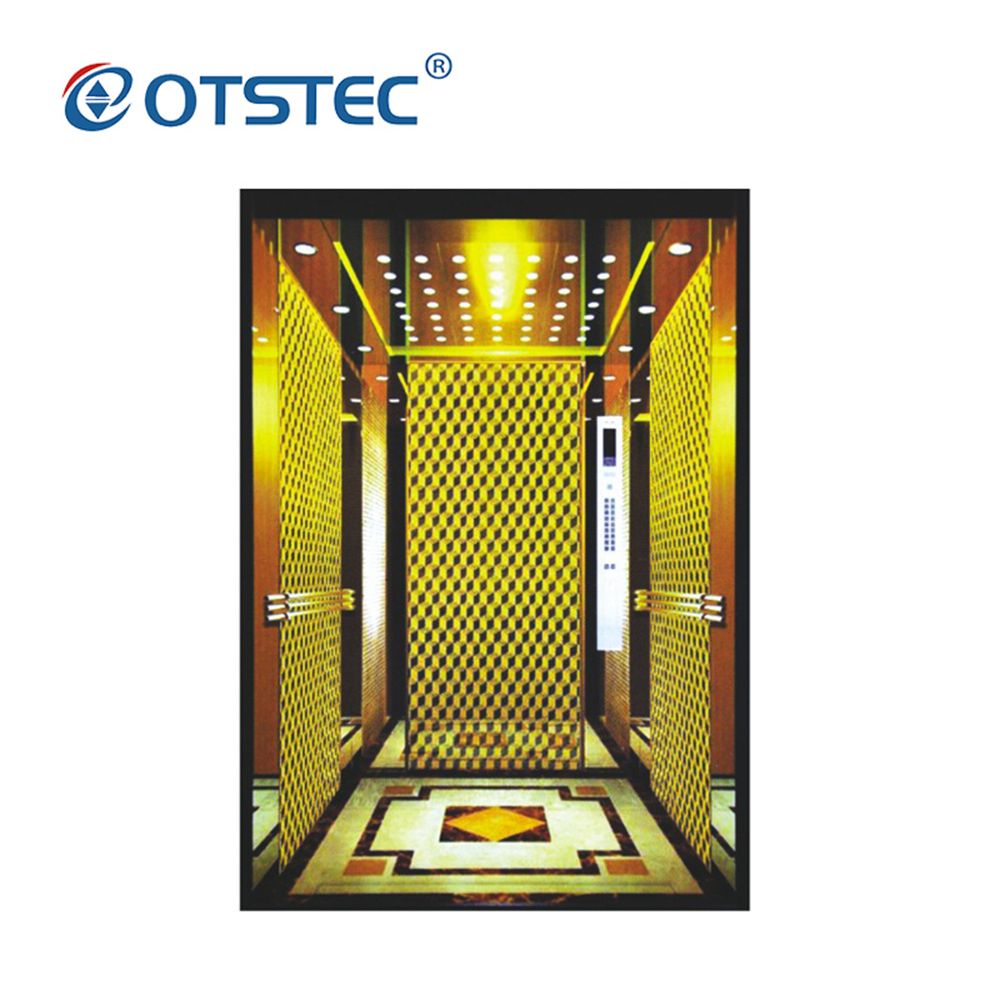 Otstec OEM Available Reliable High Efficiency Home Building Passenger Elevator Lift