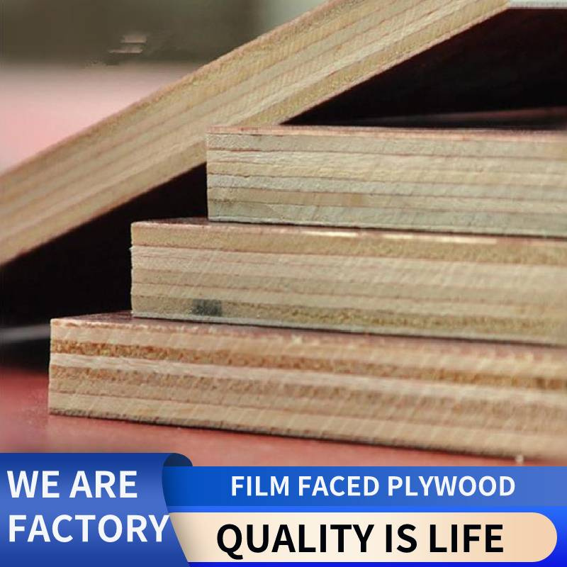 Shuttering Wood Poplar Furniture Construction Pine Plywood 12mm Biz Standard Wooden First Class Faced Wholesale Manufacturer