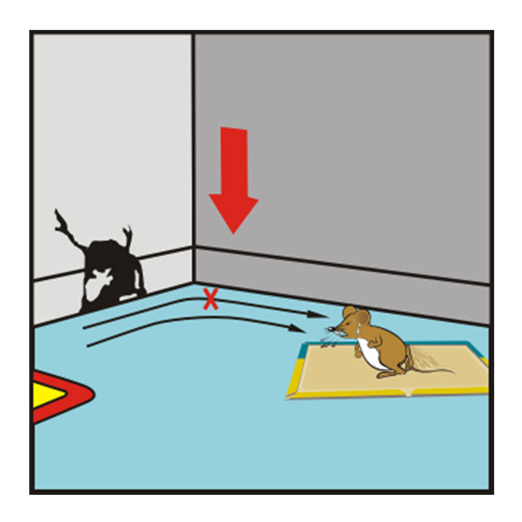 Hot Selling Mouse Killing Glue House Rat Catcher Glue