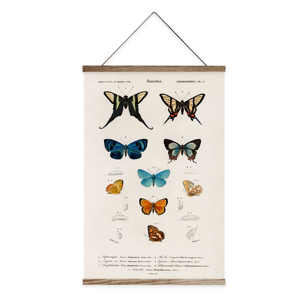 Vintage Butterfly Hanging Scroll, Aesthetic Wall Art Prints, Printed on Linen with Wooden Frame, Retro Texture Room Decor