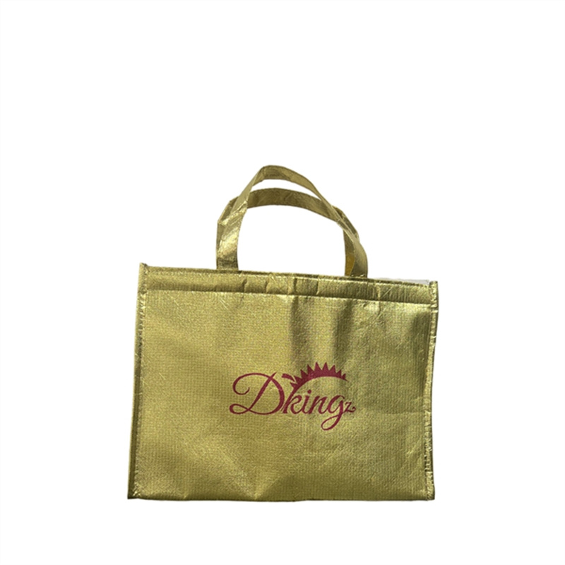 Waterproof Reusable Stock Non-Woven PP Material Takeaway Tote for Food Lunch with Handle for Durian Thermal Insulated Cooler Bag