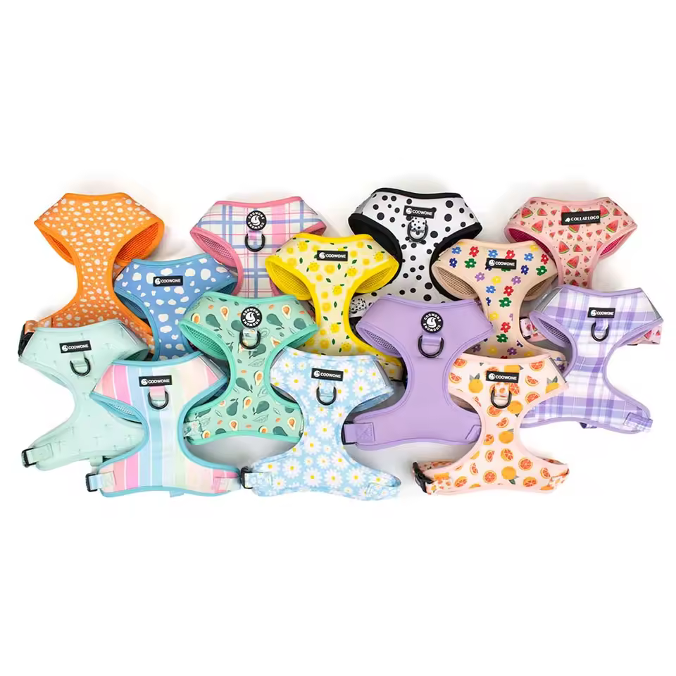 Printing Dog Harness Set Embroidery Pattern Pet Collar Leash Low Moq Customization Pet Accessoires Manufacturers