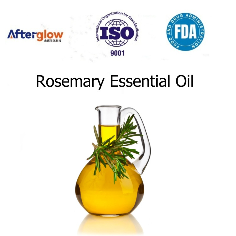 Factory Wholesale EXW Price Rosemary Liquid Rosemary Essential Oil