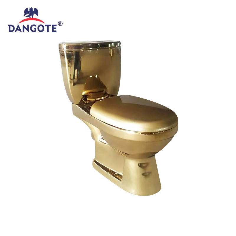 Modern Gold Finish Water Closet for Stylish Home Interiors
