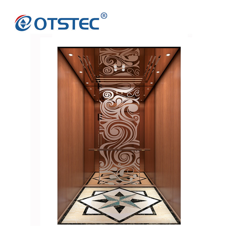 Most Popular Passenger Lift Traction Machine for Home Villas Residential