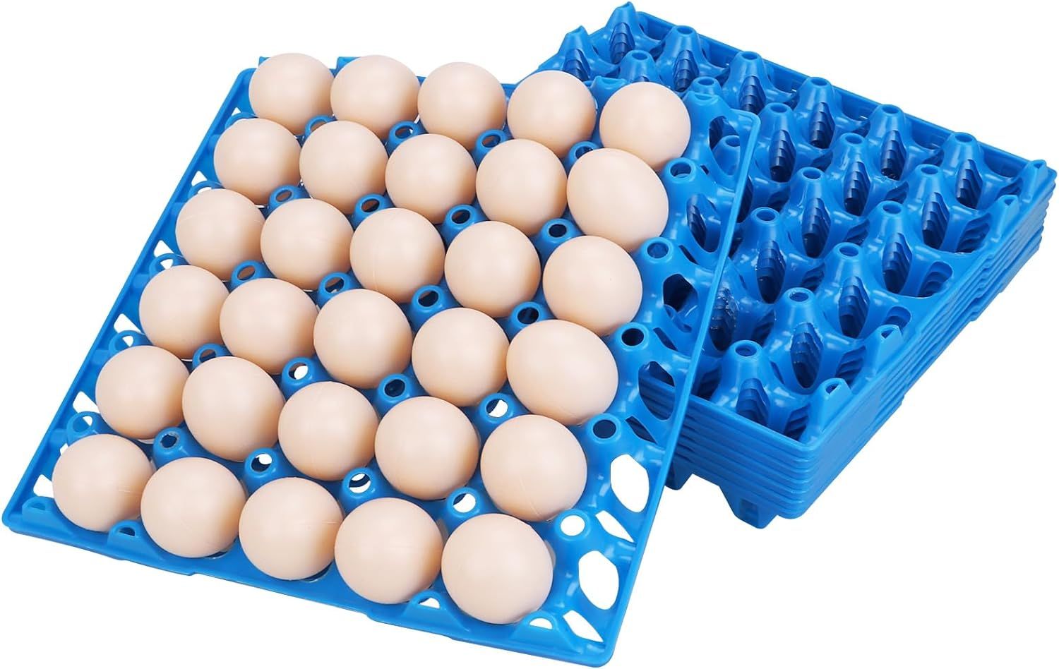 Egg Container Holders for Refrigerator Gas Assistant Injection Mould