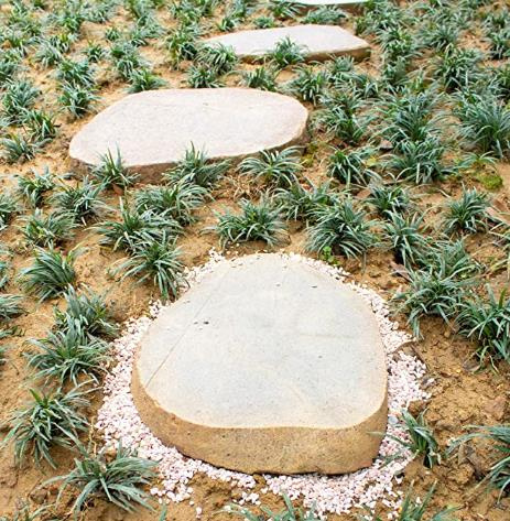 Factory Hot Sale Home Gardening Landscape Decoration Gravel