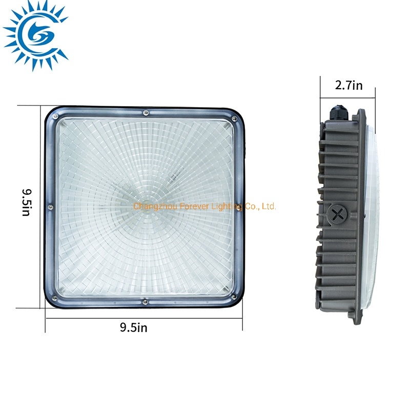 Gas Station Explosion Proof IP66 40W 60W 80W 100W 120W 150W Garages Warehouse Square Ceiling Lights LED Canopy Lighting Lamp Light