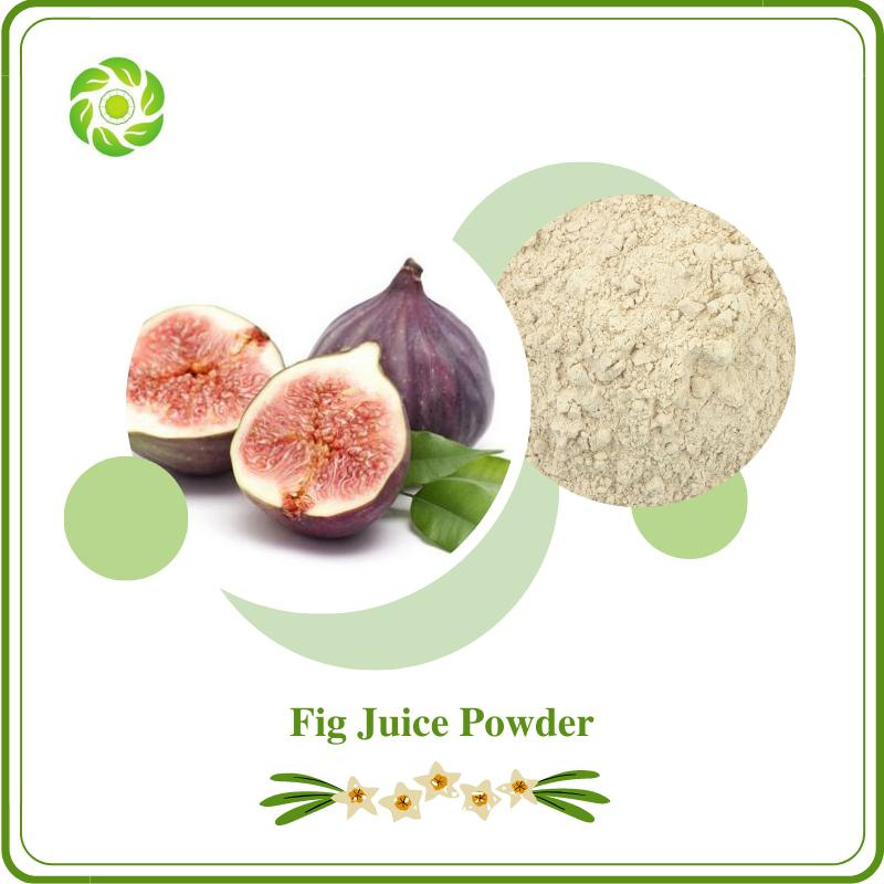 World Well-Being Biotech ISO&FDA Certified High Quality 100% Natural Pure Fig Juice Powder