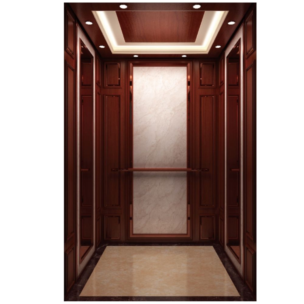 Manufacturer Luxury Small Home Elevator Kit for 2/3/4/5/6 Floor Residential Villa