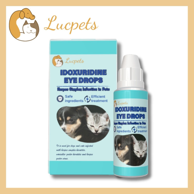 Pet Idoxuridine Eye Drops Pet Herpes Simplex Keratitis Smallpox Keratitis Herpes Zoster