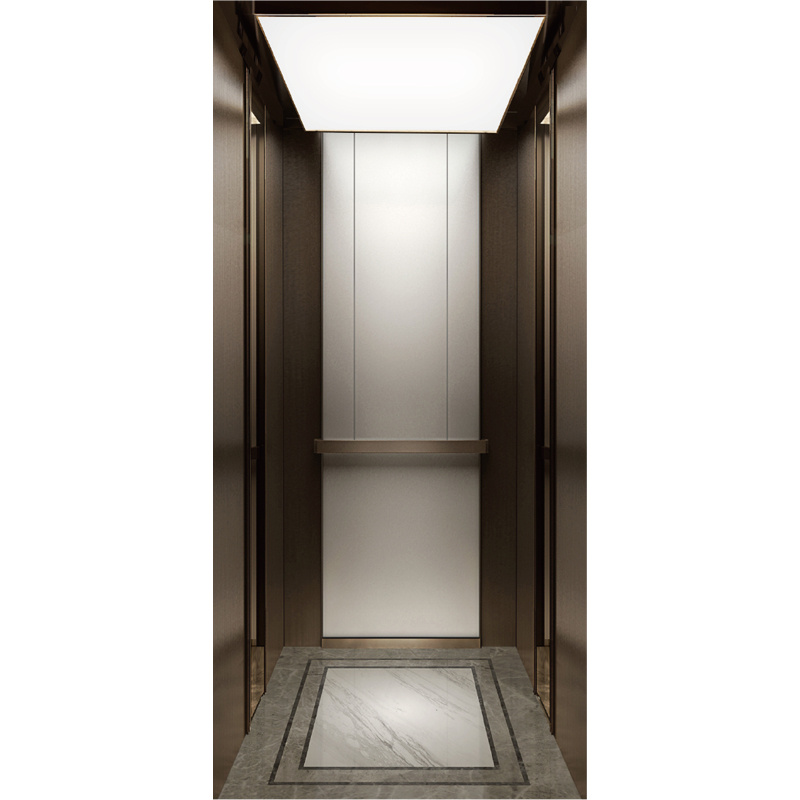 4 Person Passenger Lift for Home 320kg Elevator