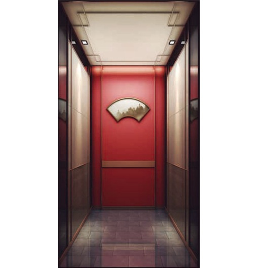 China Lift Supplier Residential Home Elevator with Low Pit Overhead