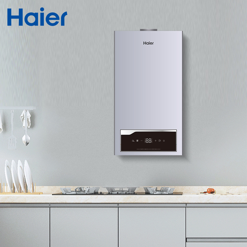 China Wholesale Low Price Cheap Domestic Household Shower Natural Thermostat Flue Type Electric Instant Tankless Gas Broiler Geyser Hot Water Heater for Home