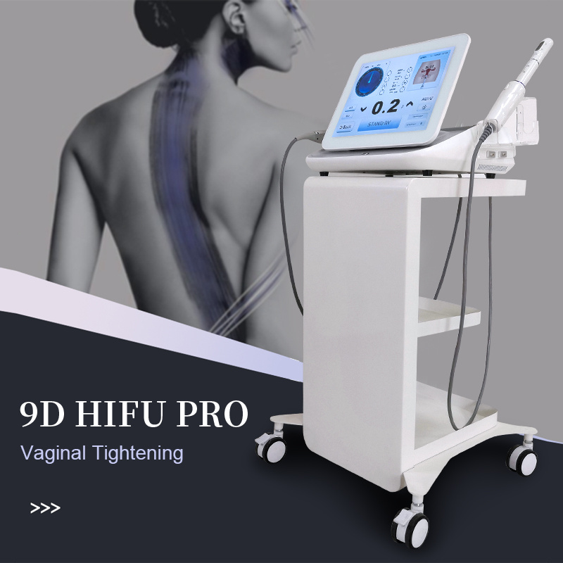 Yingcai Factory Wholesale 9d Portable Ultrasound Beauty Medical Hifu Machine