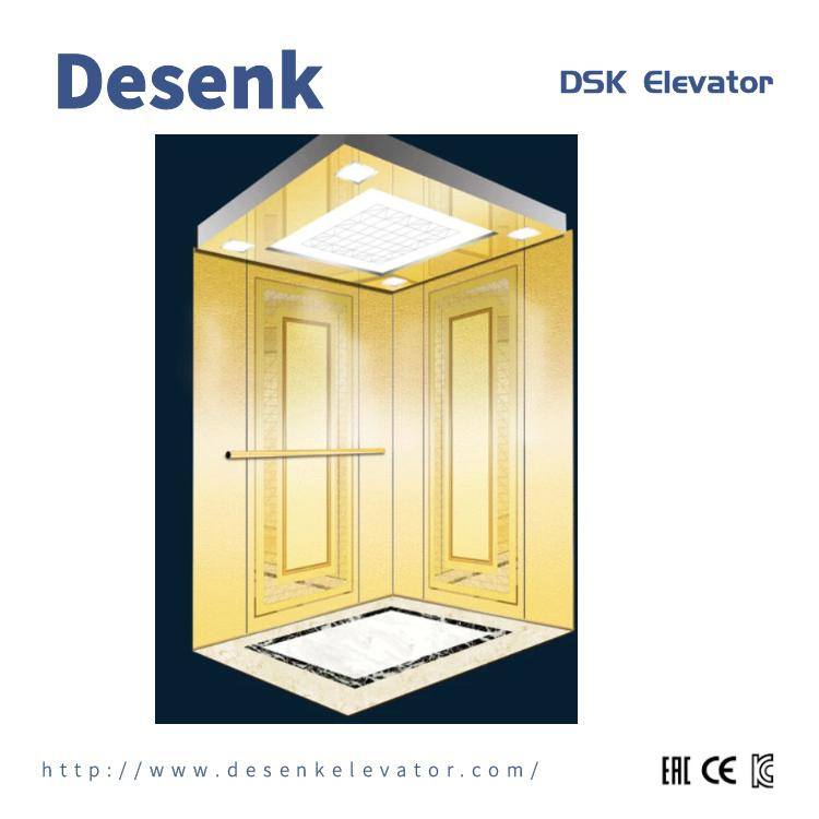 China Elevator Supplier Dsk Passenger Elevator Home Elevator Residential Elevator for Sale