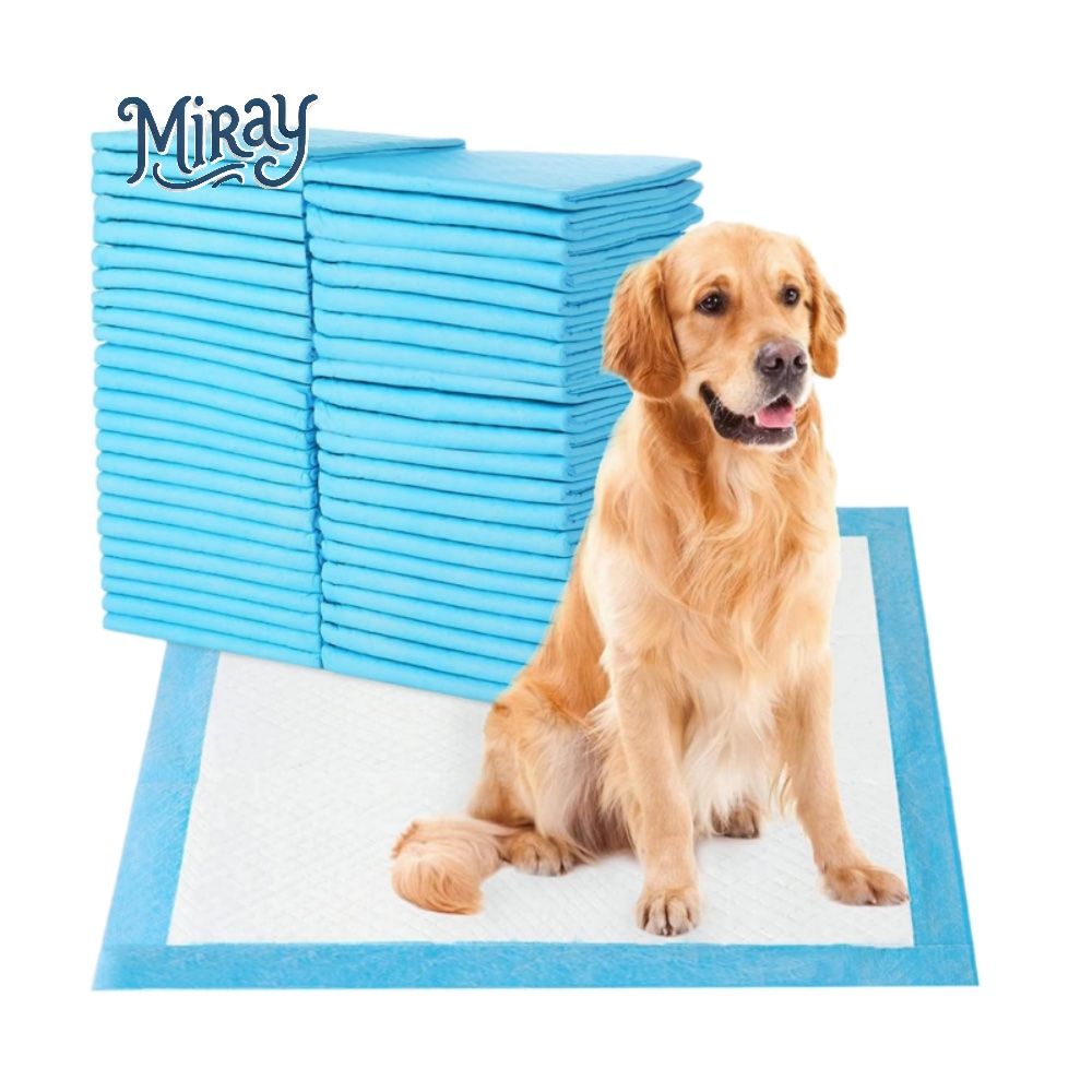 Basics Leak-Proof Quick-Dry Disposable Puppy Training Dog Poo PEE Pads Disposable