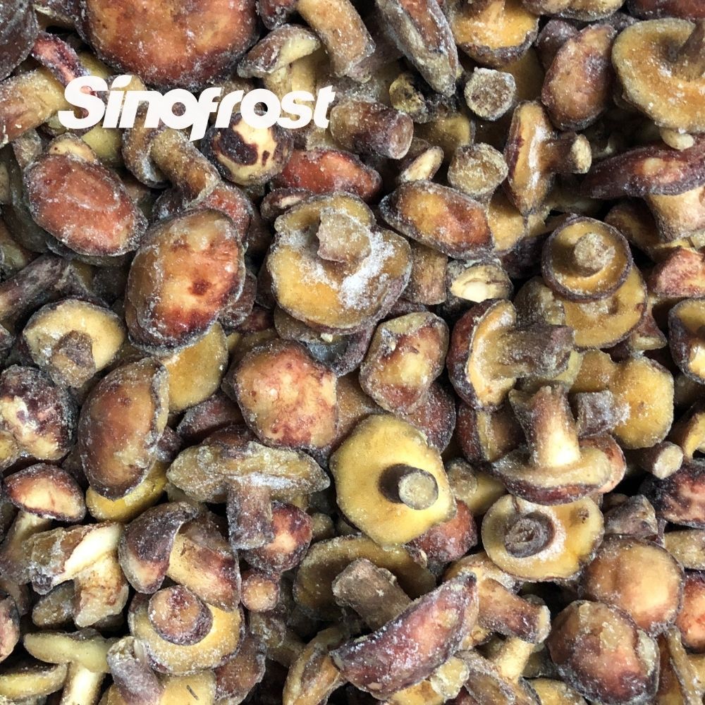 Brc/Halal/ISO Certified Whole IQF Suillus Granulatus Mushrooms Bulk Supplier