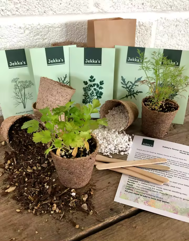 Modern Style Home Herb Garden Starter Grow Plant Kit With Desktop Pots And Planter For Vegetable Decoration Oem Welcomed