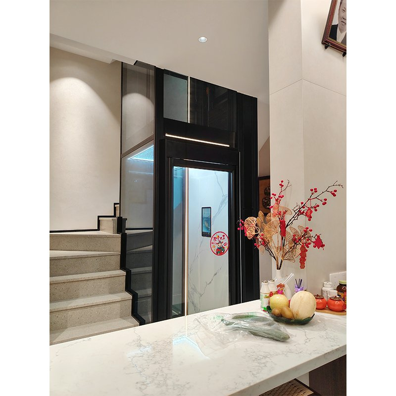 China Manufacturer-Exclusive Luxury-Designed Safe & Space-Saving Home Villa Elevator Lift