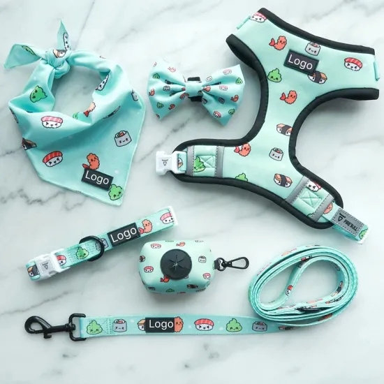 2024 Hot Sale Pet Harness and Collar Pet Supplies