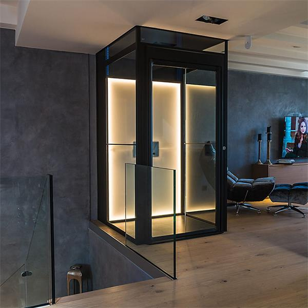 Racermax Elevator Home Lift/ Villa Lift Best Quality with Competitive Price Passenger Elevator