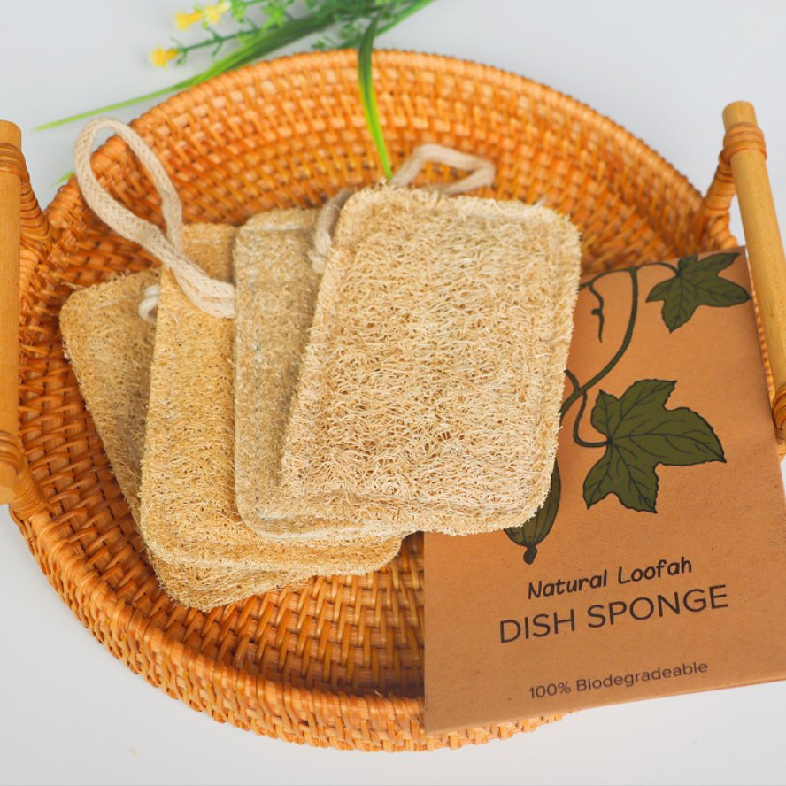 Eco-Friendly Healthy Strong Cleaning Dishes Cup and Bath Body Exfoliating 100% Natural Botany Loofah Sponge