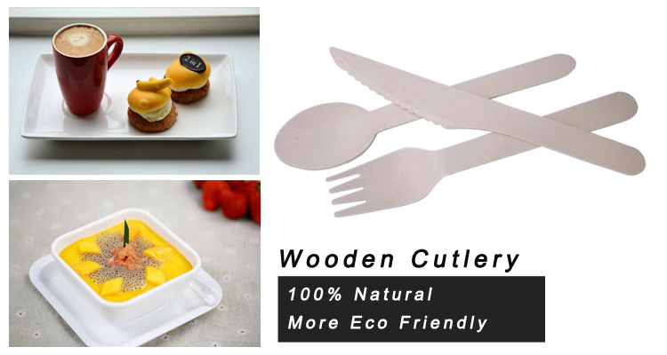 Wooden Lightweight Latest Dinner Set Lowest Price