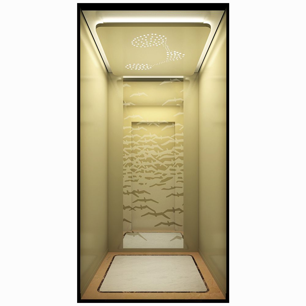 Wholesale Stainless Steel Home Elevator Residential Elevator