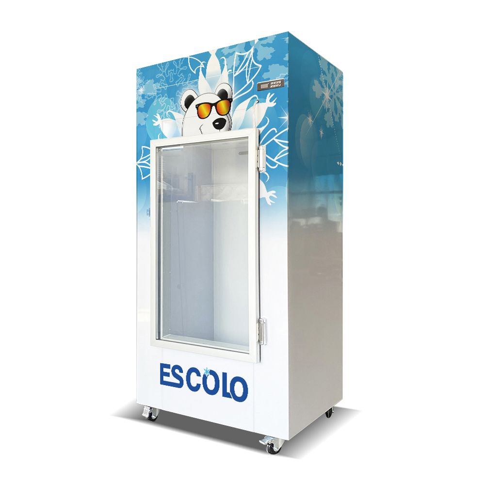 630L Gas Station Ice Storage Bin, Ice Freezer for Sale