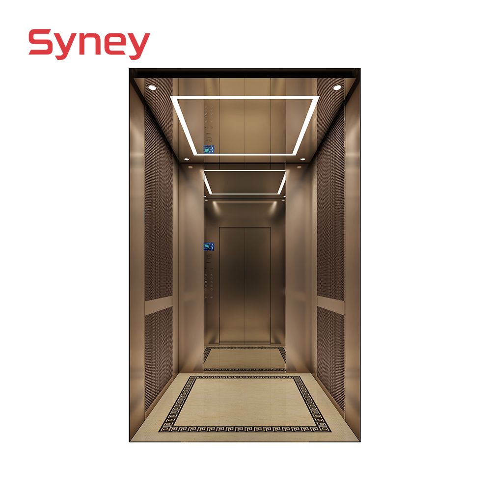 Sightseeing Glass Residential Home Lift Passenger Elevator Supplier in China