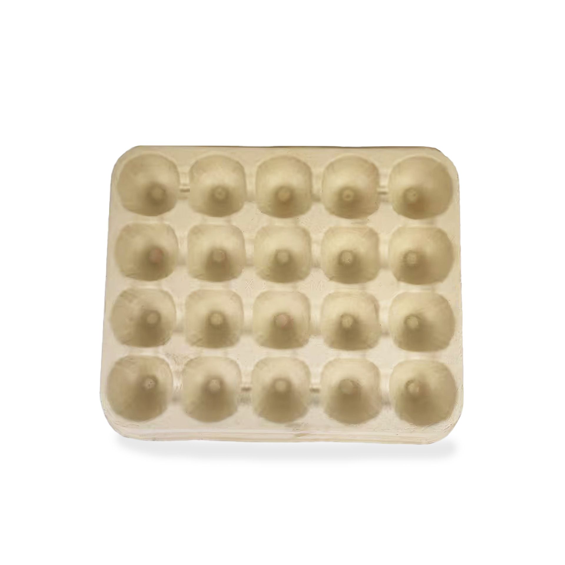 Premium Yangmei Fruit Tray in Eco-Friendly Degradable Design